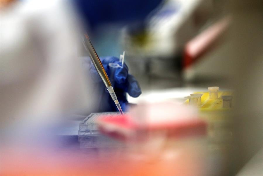 La firma señaló que su vacuna experimental "desarrolló anticuerpos neutralizadores" en ocho participantes procedentes de esos dos grupos -los únicos de los que tiene datos, de momento- y dijo que esos niveles eran equivalentes o superiores a los generalmente vistos en sérum convalesciente en el día 43 del estudio. EFE/Sebastiao Moreira/Archivo