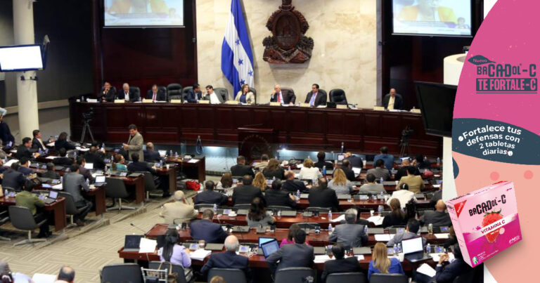 Exdiputado: La oposición está vigilada para no votar por reformas electorales a favor del Partido Nacional