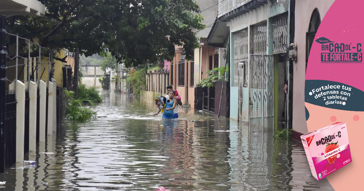 Consejo Consultivo recomienda al Gobierno actuar rápido para evitar nuevos desastres en próximo invierno