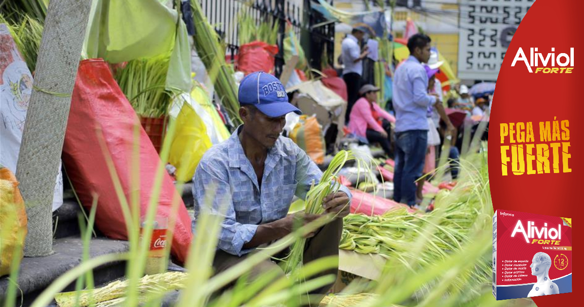 La covid-19 reduce ventas de palmas para Domingo de Ramos en Honduras