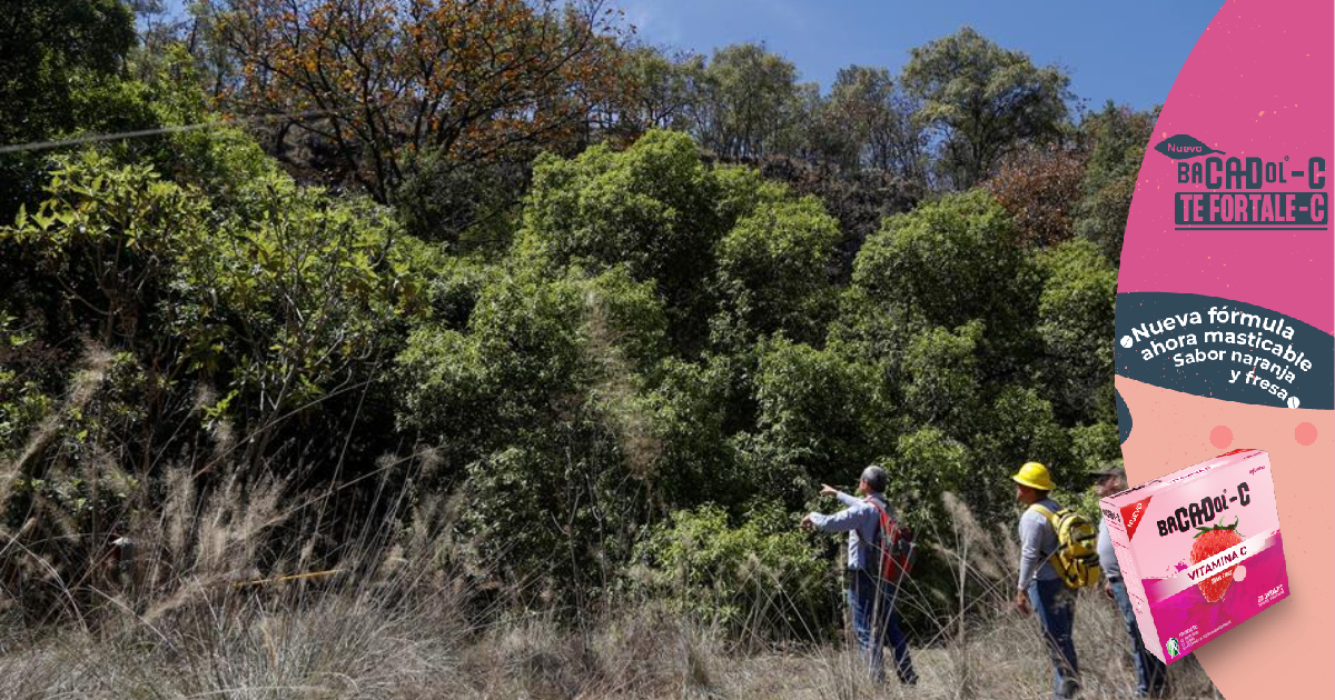 La ONU insta a Honduras a ratificar Acuerdo de Escazú y proteger a defensores