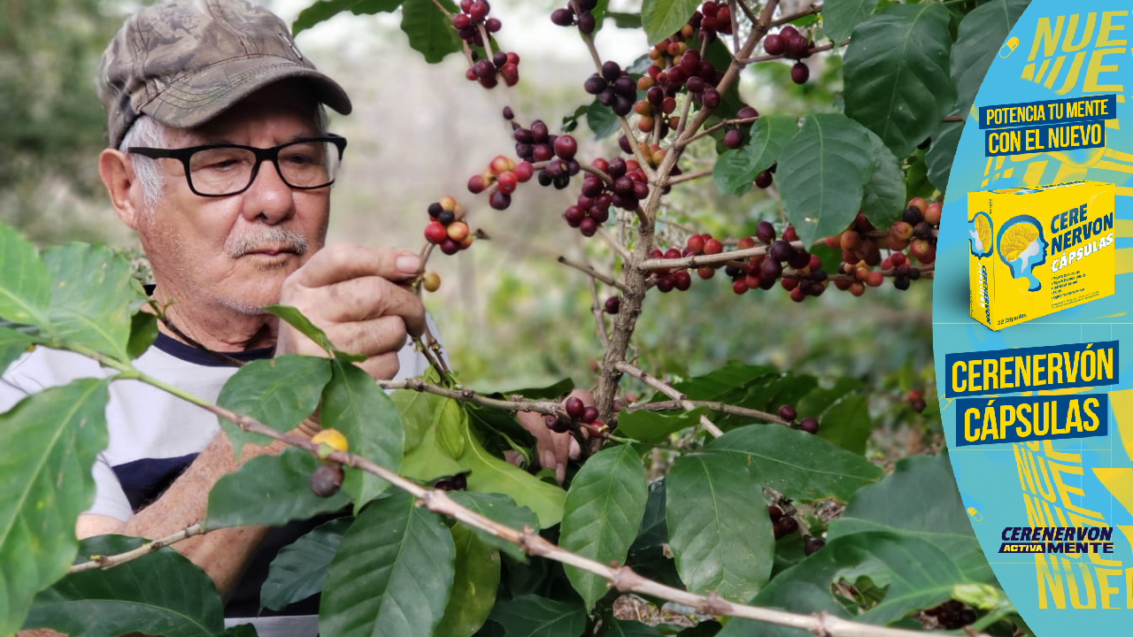 SAG anuncia millonaria inversión en lanzamiento del "Bono Solidaridad Productiva"