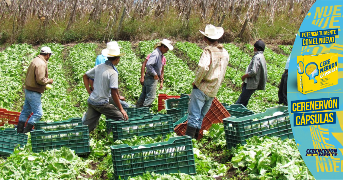 Congreso aprueba millonario financiamiento para Inclusión Económica y Social de productores rurales en la región noreste de Honduras