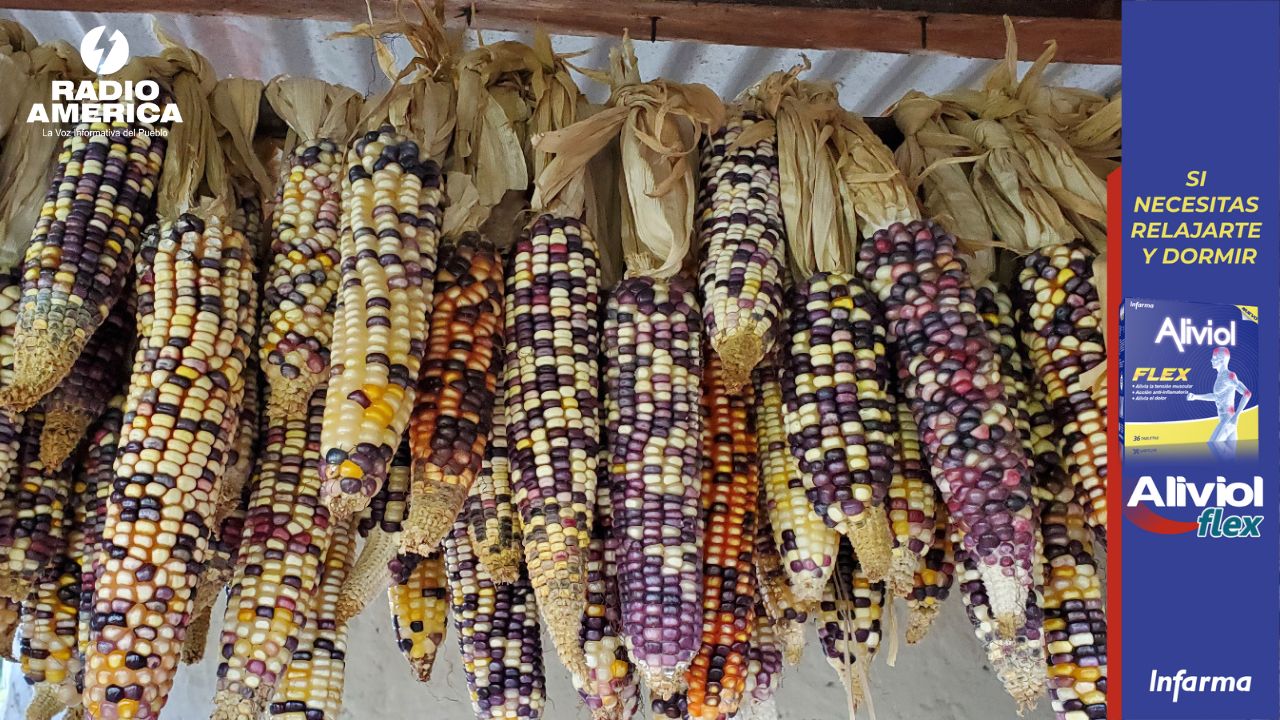 Productores