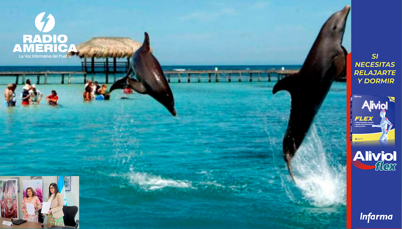 Para combatir la trata de personas, el Instituto de Turismo destinará $0.50 de dólar por cada turista que ingrese a Roatán