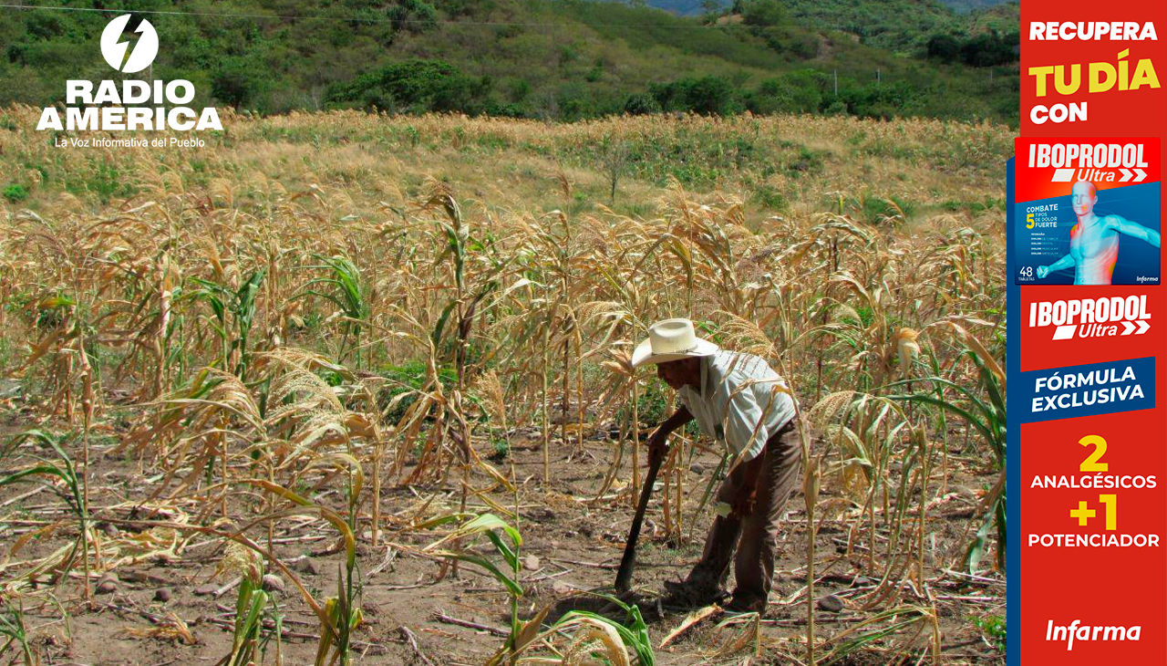 FENAGH sugiere invertir en cosechadoras de agua y en sistemas de riego para producir ante la prolongada sequía