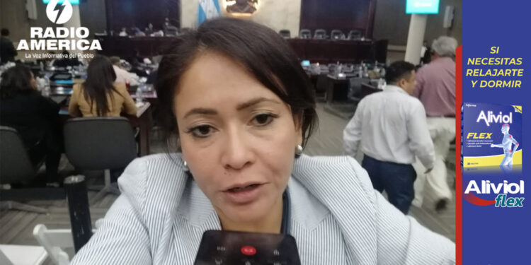 La democracia “corre peligro” con un fiscal a la medida de los intereses de “Mel” y Xiomara, dice diputada