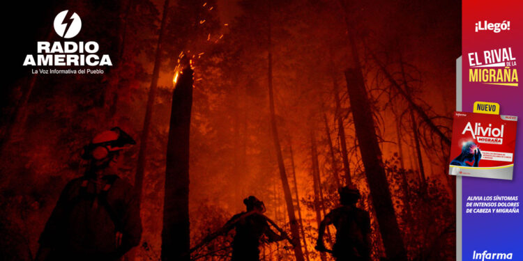 La crisis climática ha convertido los bosques de Canadá en un infierno