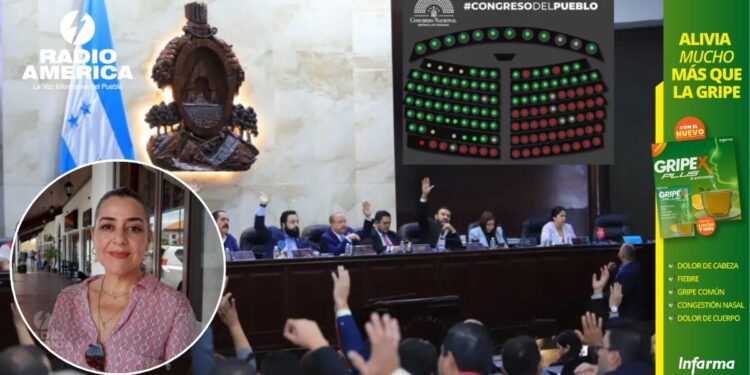 Representante de la OMA sobre elección de fiscal general y adjunto “estamos viendo un circo”