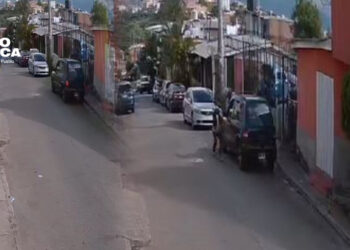 Arrestan a sujeto que despojó de sus pertenencias a una fémina en la Alemán de Tegucigalpa