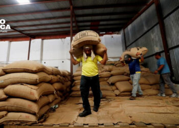 Exportación del aromático cae en 2023 en comparación al 2022, según la Unecaféh