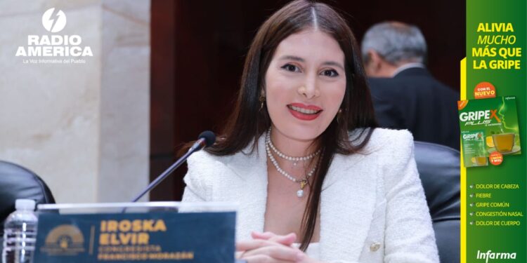 CN no debería pagar salarios hasta que se reanuden las sesiones, dice diputada del PSH