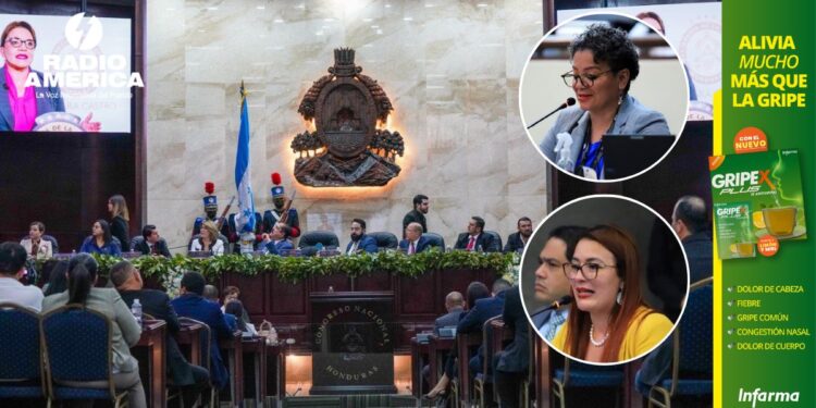 Parálisis legislativa es “culpa del oficialismo”, asegura diputada nacionalista