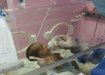 Médicos egipcios hacen «lo posible» para que bebés prematuros evacuados de Gaza sobrevivan