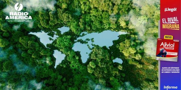 Respuestas a crisis climática, poco adaptadas a necesidades víctimas, dice declaración COP