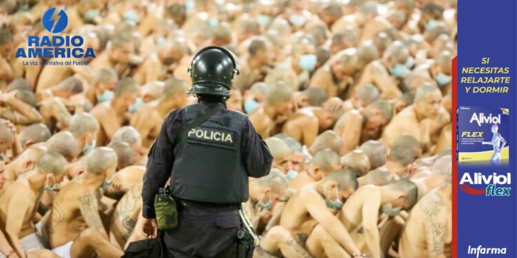 Gobierno señala que hasta 20.000 pandilleros están «pendientes de capturar» en El Salvador