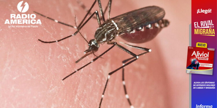 La UE destina 1,5 millones de euros para hacer frente al dengue en Latinoamérica
