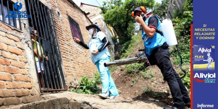 Alcaldía del Distrito Central avanza en lucha para reducir alta incidencia por dengue