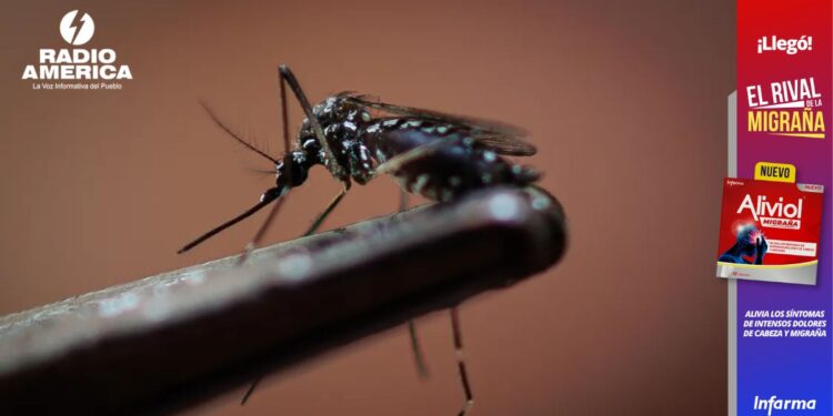El dengue cubrirá la práctica totalidad de Brasil y México para 2039, según un estudio