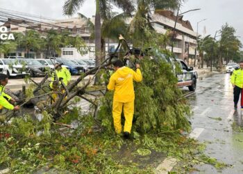El ciclón Beryl deja lluvias «fuertes» en la frontera norte de México