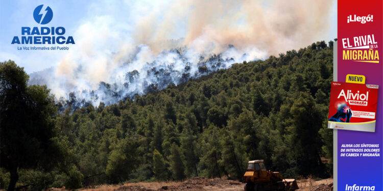 Dan por controlado el gran incendio que quemó 10,000 hectáreas en las afueras de Atenas