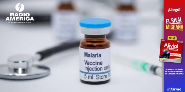 Los anticuerpos maternos interfieren en la respuesta a la vacuna para la malaria del bebé