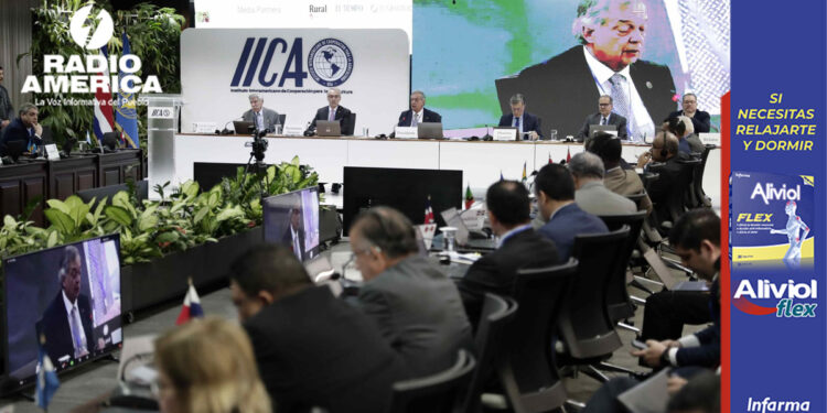 IICA promueve reglamentos técnicos en Centroamérica y el Caribe para facilitar el comercio
