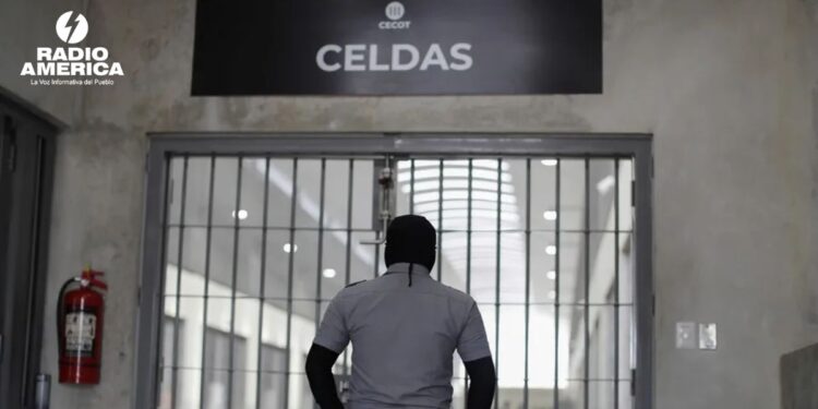 AI alerta que la vida de los venezolanos encarcelados en El Salvador «está en peligro»