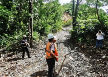 Condenan a exfuncionario municipal por usurpación de funciones en permisos forestales