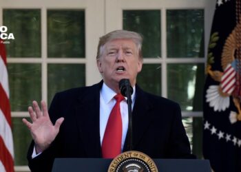 Trump colocará dos banderas de Estados Unidos gigantes en los jardines de la Casa Blanca