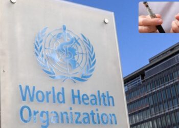 OMS pide urgentemente a los gobiernos prohibir sabores en productos de tabaco y nicotina