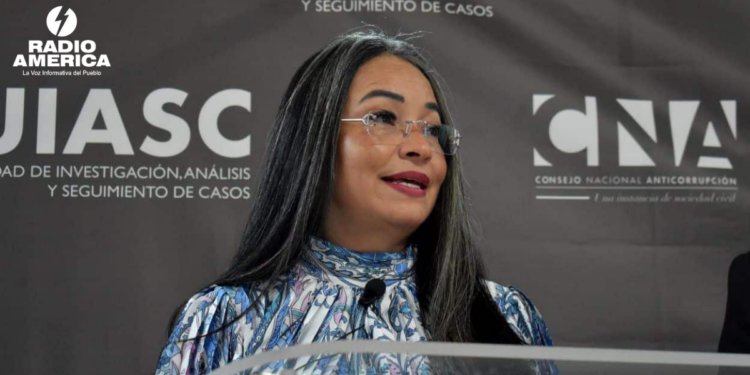 La directora del CNA, Gabriela Castellanos, arremetió contra el Congreso Nacional por su escasa labor legislativa.