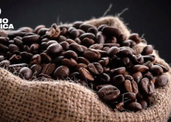 Exportaciones Café Honduras_radioamérica jpg