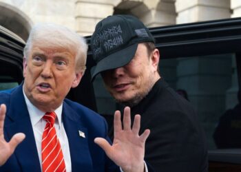 Trump Musk