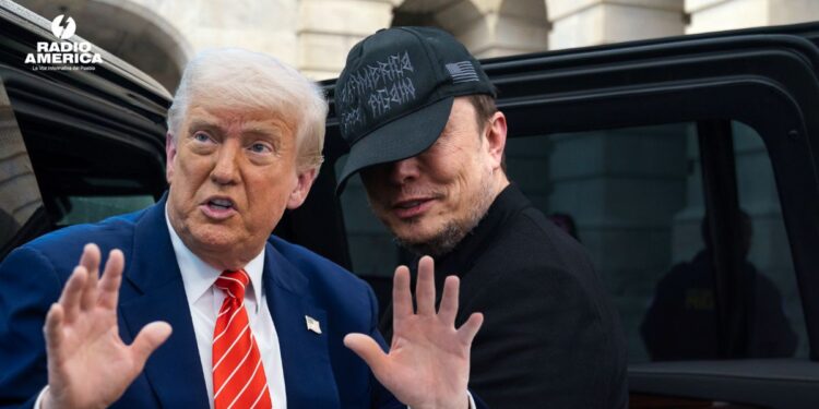Trump Musk