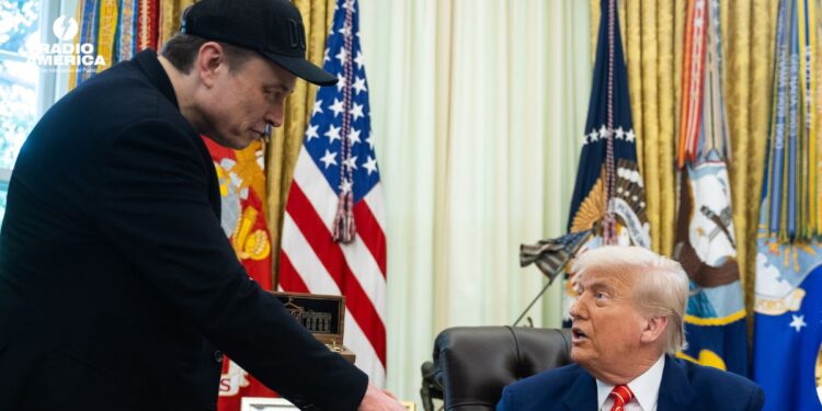 Musk Trump