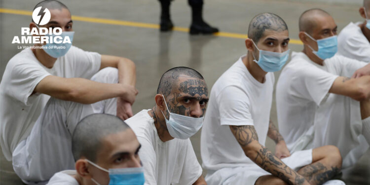 Pandillas El Salvador_radioamérica jpg