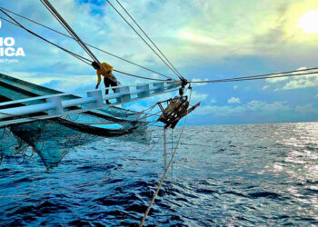 Pesca_radioamérica jpg