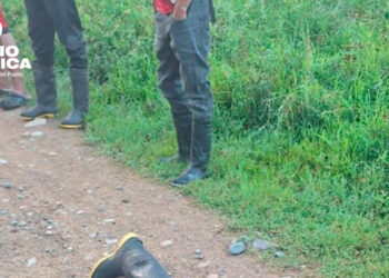 Denuncian el asesinato de cuatro campesinos hondureños en conflictiva región del Aguán