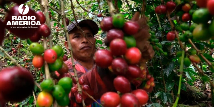 Café_radioamérica jpg