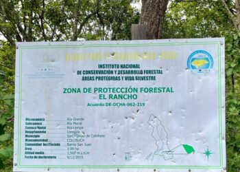 InSight Crime: ¿Destrucción ambiental o desarrollo comunitario? La lucha de un alcalde en el occidente de Honduras