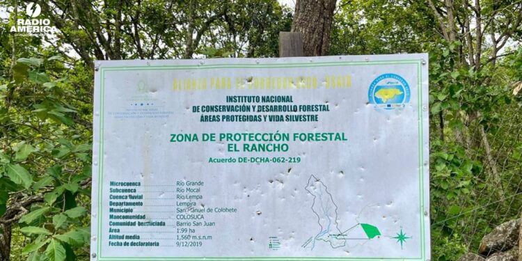InSight Crime: ¿Destrucción ambiental o desarrollo comunitario? La lucha de un alcalde en el occidente de Honduras