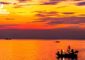 Las olas de calor marinas ya afectaron al 96% de la superficie oceánica en 2023