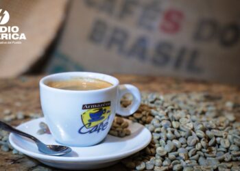 Cafeteros brasileños alertan de "impactos extremadamente negativos" con el arancel de 50 %