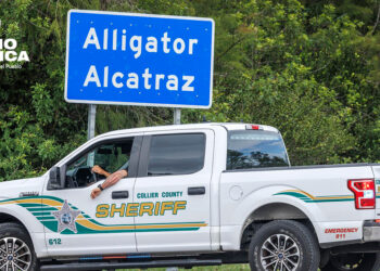 'Alligator Alcatraz'_radioamérica jpg