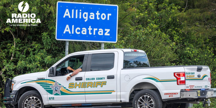'Alligator Alcatraz'_radioamérica jpg