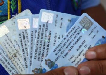 Congreso Nacional aprueba reforma para la obtención de licencias de vehículos de categorías "C, D y CE"