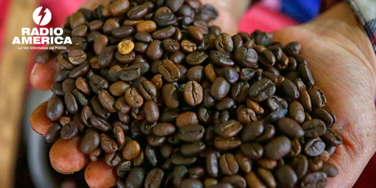 Exportaciones café_radioamérica jpg