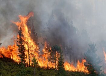 Incendios Europa