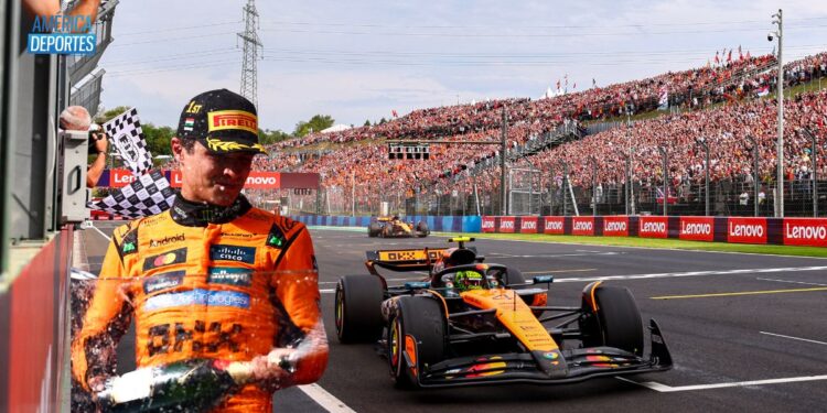 Lando Norris